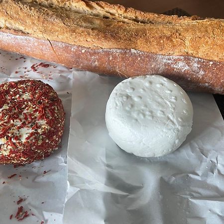 Maison Ecologique De Qualite Superieure Monflanquin Dış mekan fotoğraf